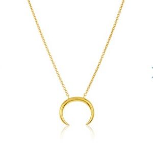 14 k Yellow Gold Vermeil Horn Pendant Necklace
